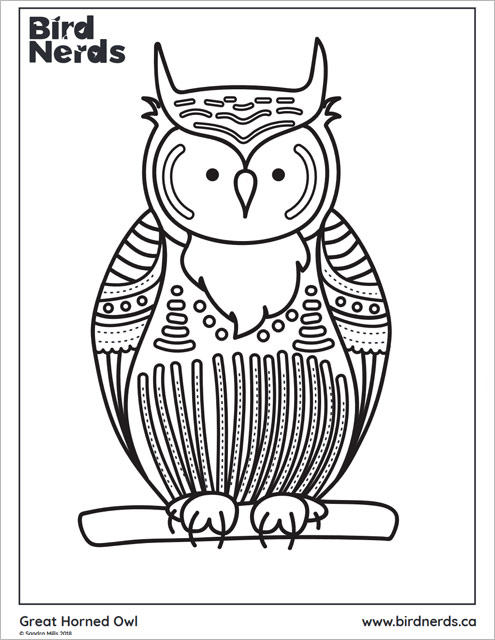 great horned owl colouring sheet
