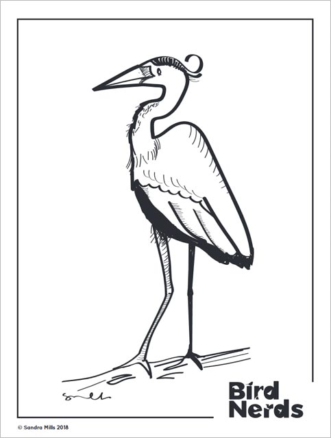 heron postcard